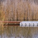 3_sam_1729