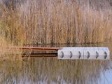 3_sam_1729